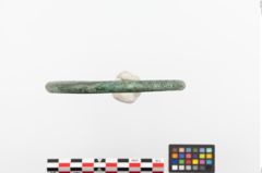 Foto von Bronzering (NHMW-PRAE-023884)